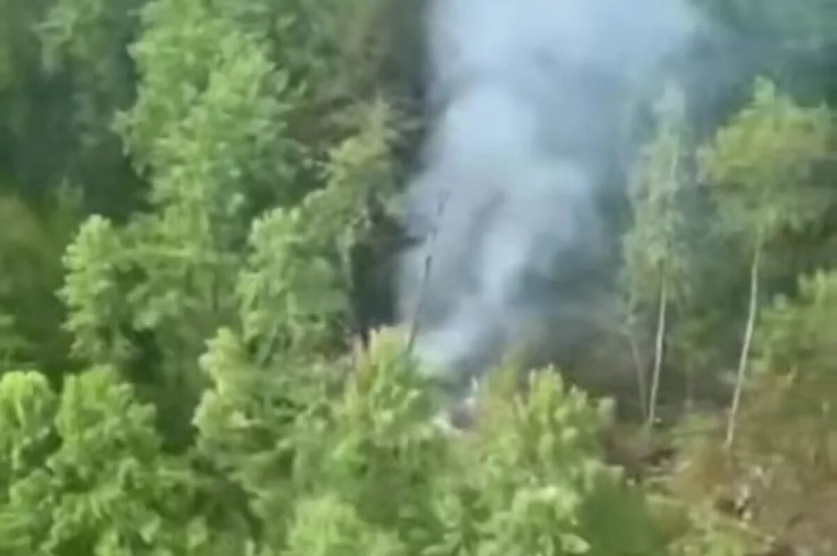    Потерпевший крушение в Приамурье самолёт раньше летал на рейсах «Ижавиа»