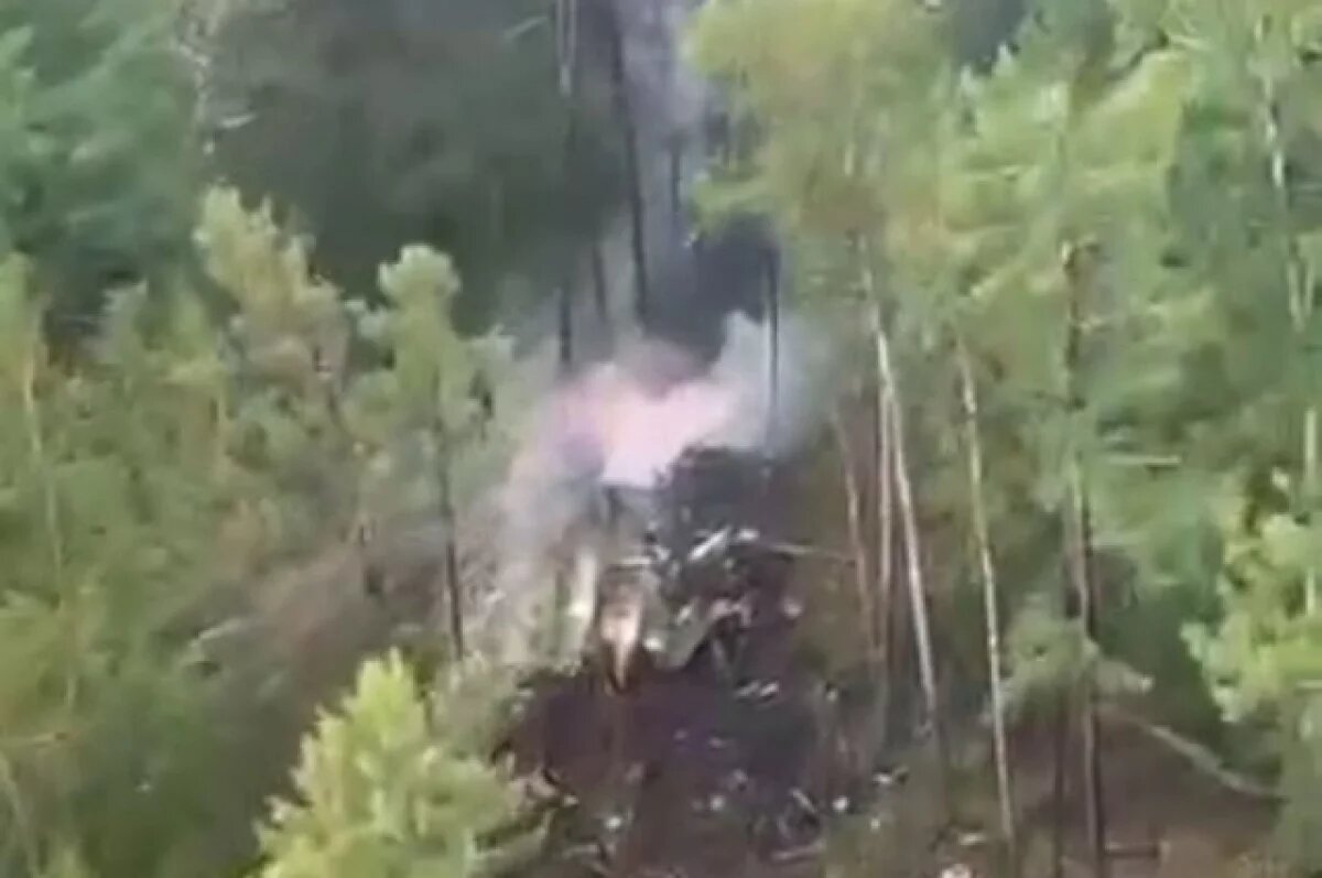    Семья отказавшейся от полета на разбившемся Ан-24 назвала чудом ее спасение