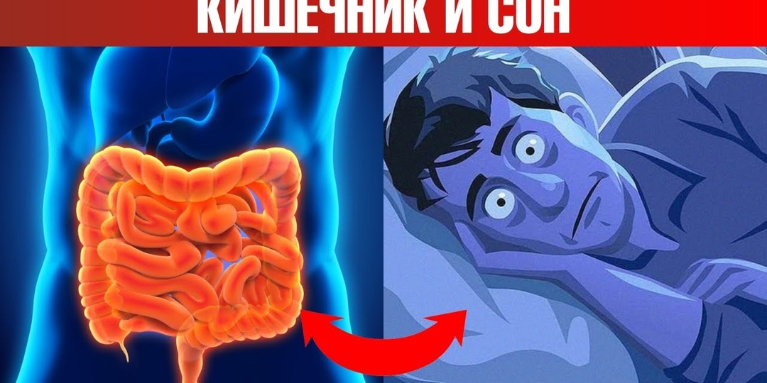 5 признаков, что кишечник не справляется