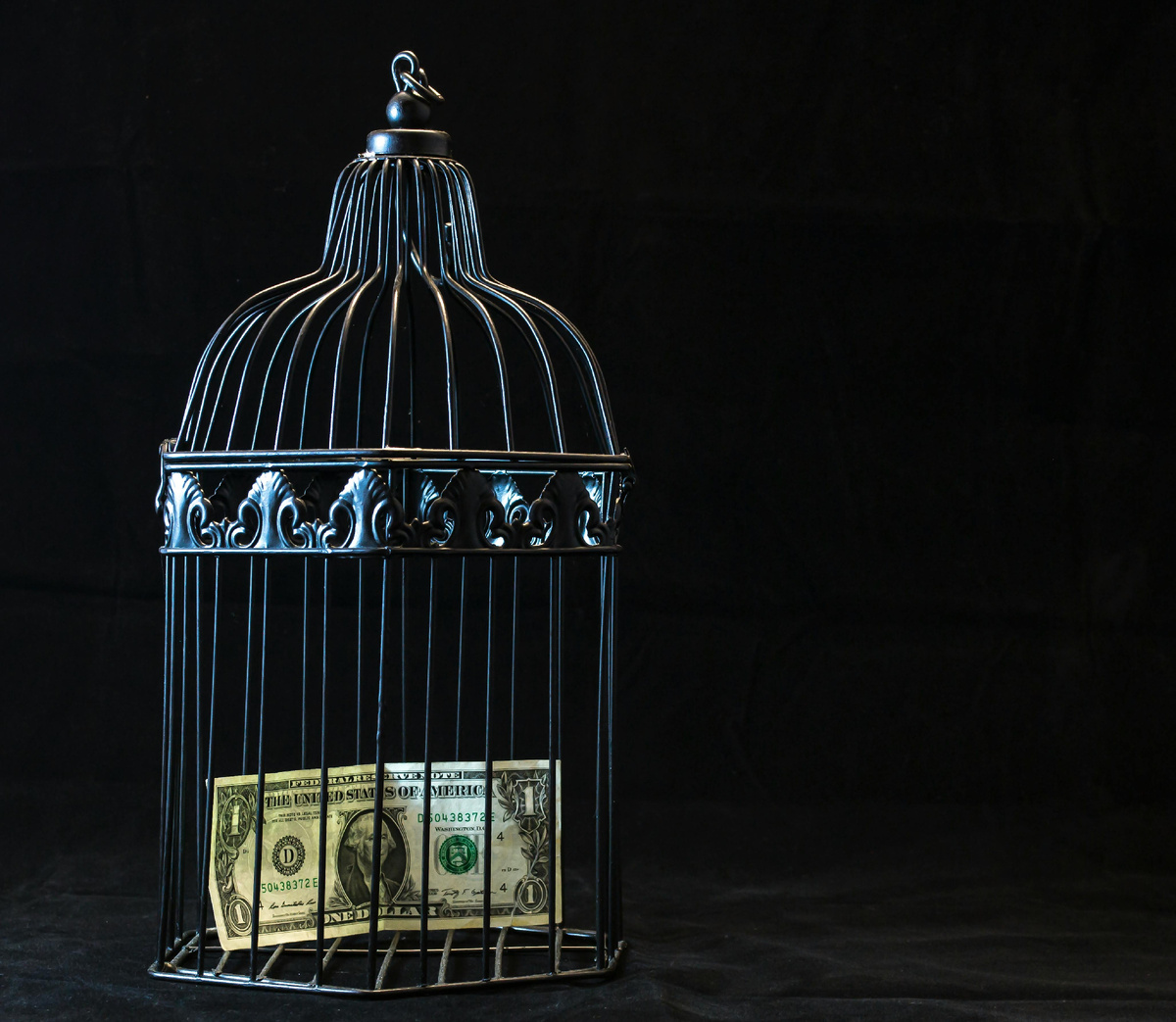 Photo by Reynaldo #brigworkz Brigantty: https://www.pexels.com/photo/black-steel-pet-cage-with-one-dollar-747113
