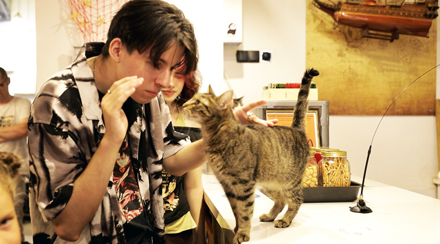    © АО "ТВ Центр"