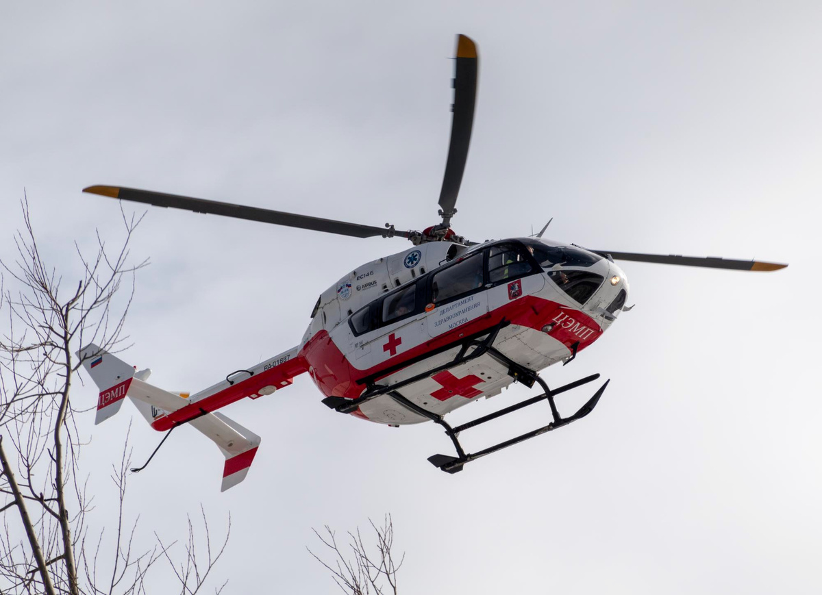 фото: freepik.com  📷
