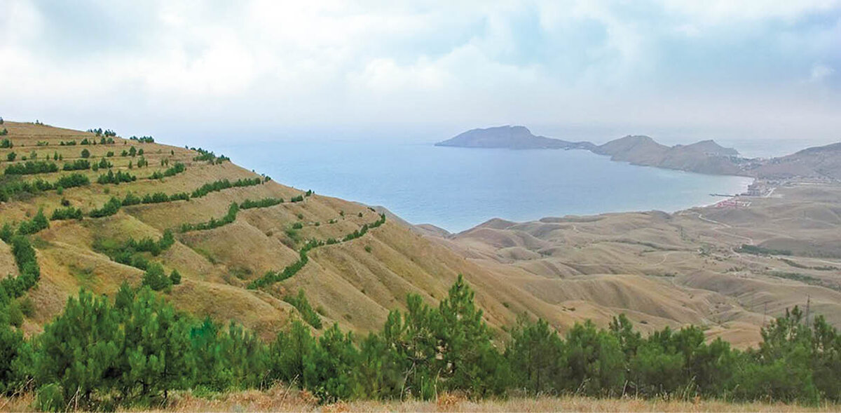 Фото: Иван Коваленко