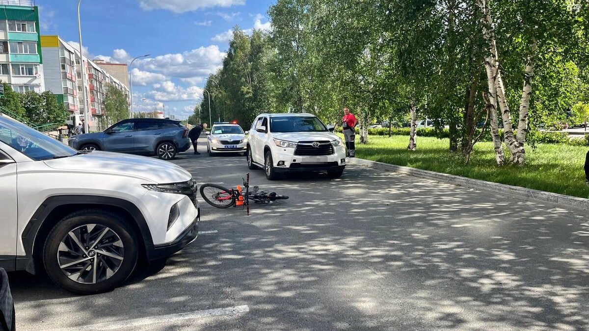    Фото: Яна Джус / «Ямал-Медиа»