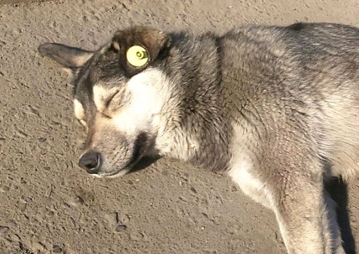    Фото: Пруфы.рф