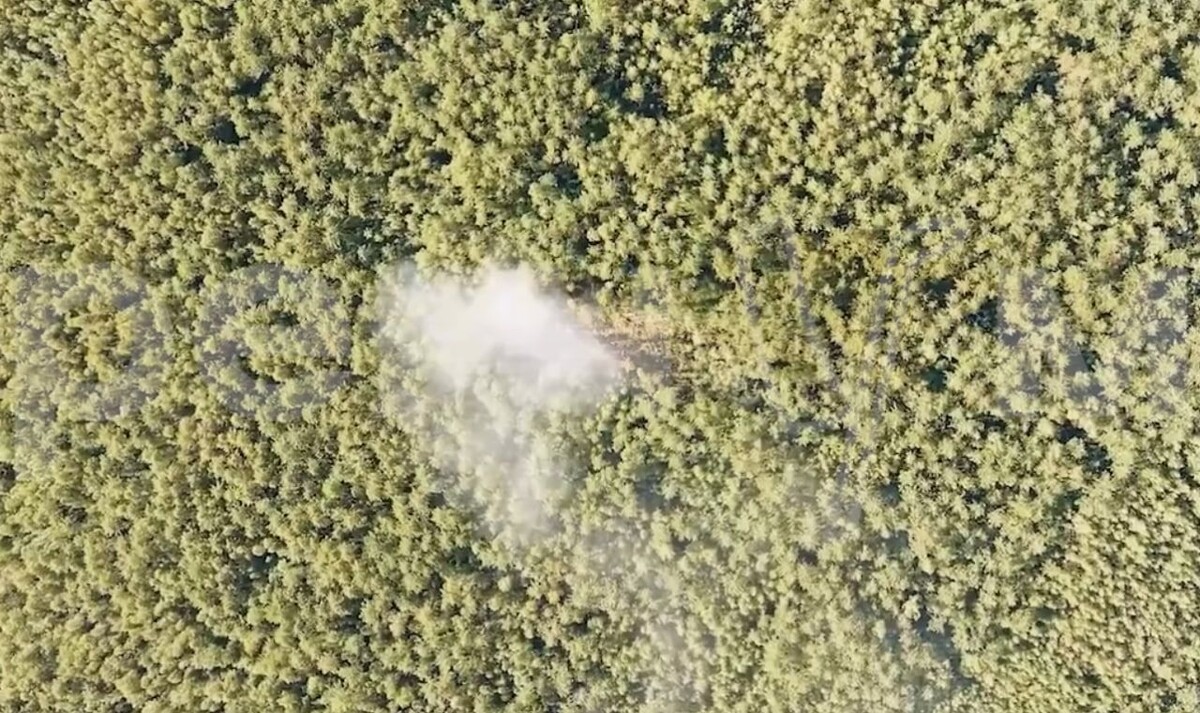     / Источник: Кадр из видео