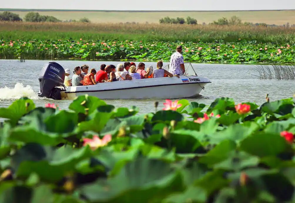 Источник: https://www.sputnik8.com/ru/anapa/activities/65286-dolina-lotosov-osetrovoe-hozyaystvo-i-otdyh-na-azovskom-more?event_date=2025-07-25&option_id=65286&event_id=170795370&ticket_id_145624=1