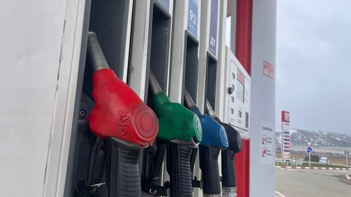     Источник: rostovgazeta.ru