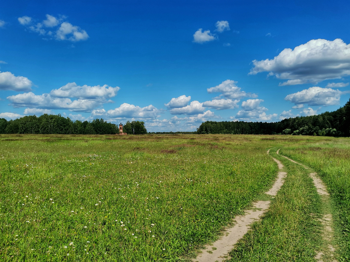 Введеньё (Тарусский район) - Введенская церковь.