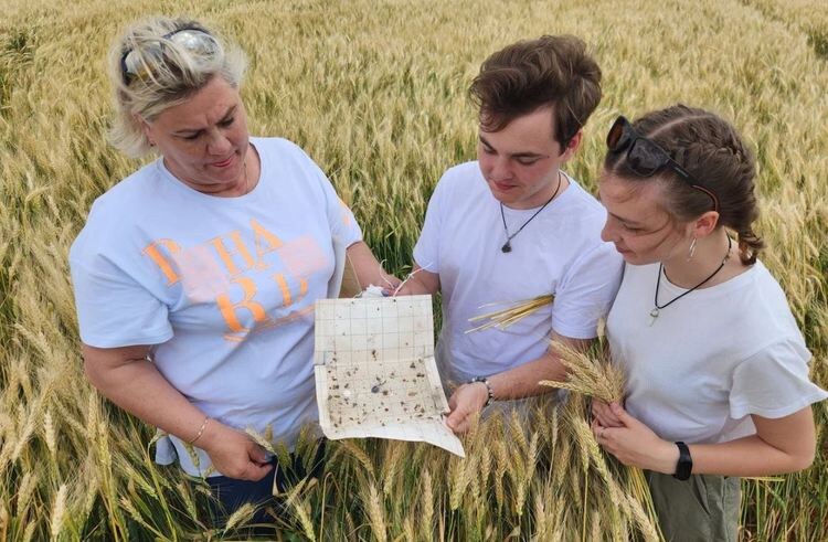    Ценный опыт приобрели студенты Донецкого государственного университета в филиале Россельхозцентра