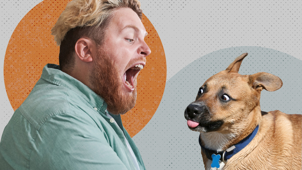 Кира Лисицкая (Фото: AnnaStills, Skyhobo/Getty Images)