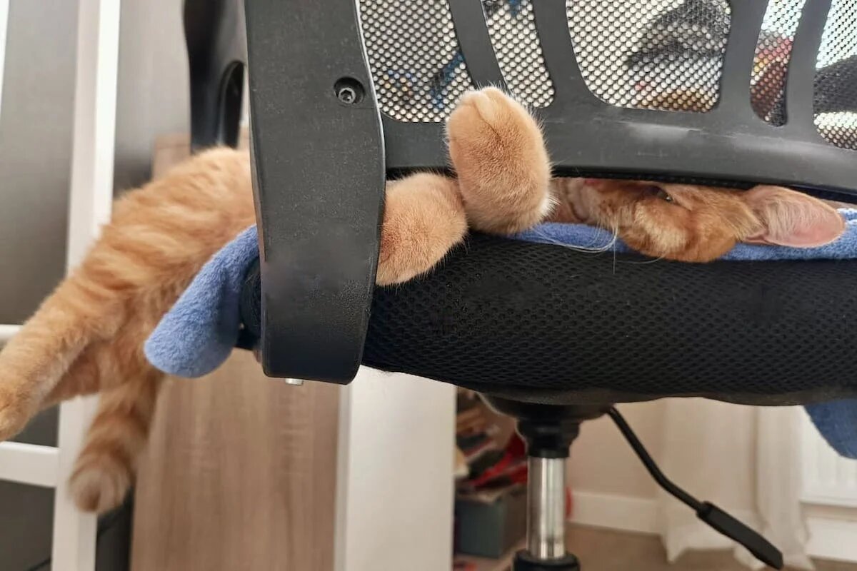 Фото: UfacityNews.ru