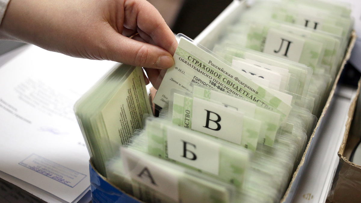 Артем Геодакян / TASS