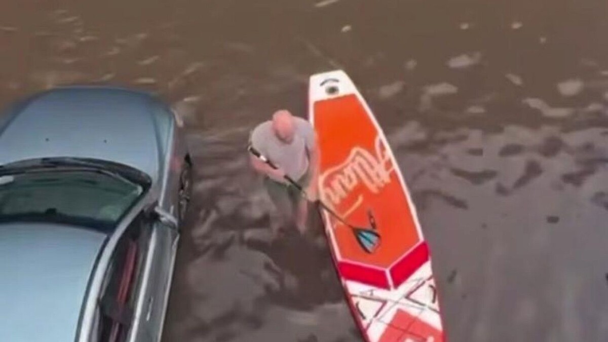    Фото: t.me/readovkanews