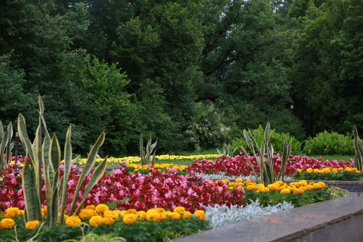 Красивые клумбы возле ФЭИ. Обнинск.