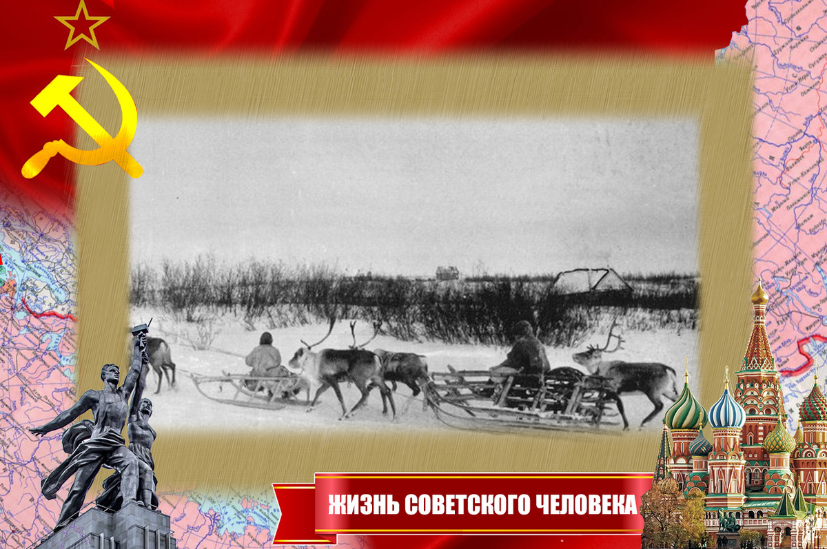 В тундру на оленях