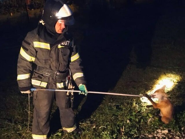    Фото: телеграм-канал "ГКУ МО "Мособлпожспас"