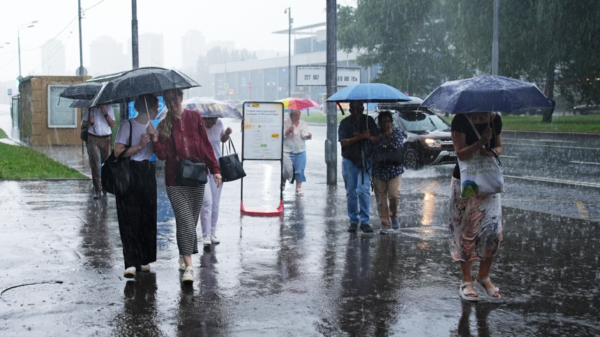    Фото: ИЗВЕСТИЯ/Сергей Лантюхов; 5-tv.ru