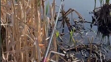     Автор: Предоставлено Сергеем Вязовцевым Источник: nashgorod.ru