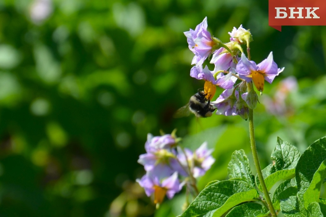 Фото Алексея Баталова