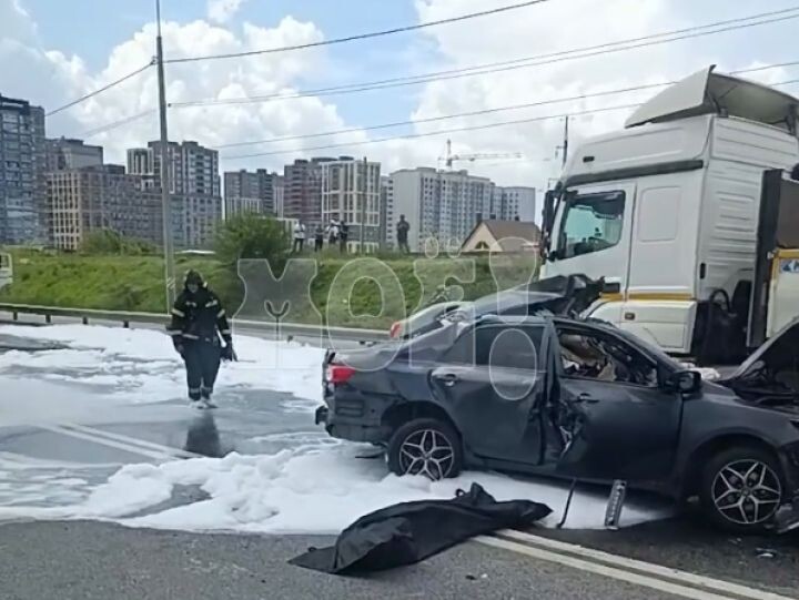    Фото: кадр из видео