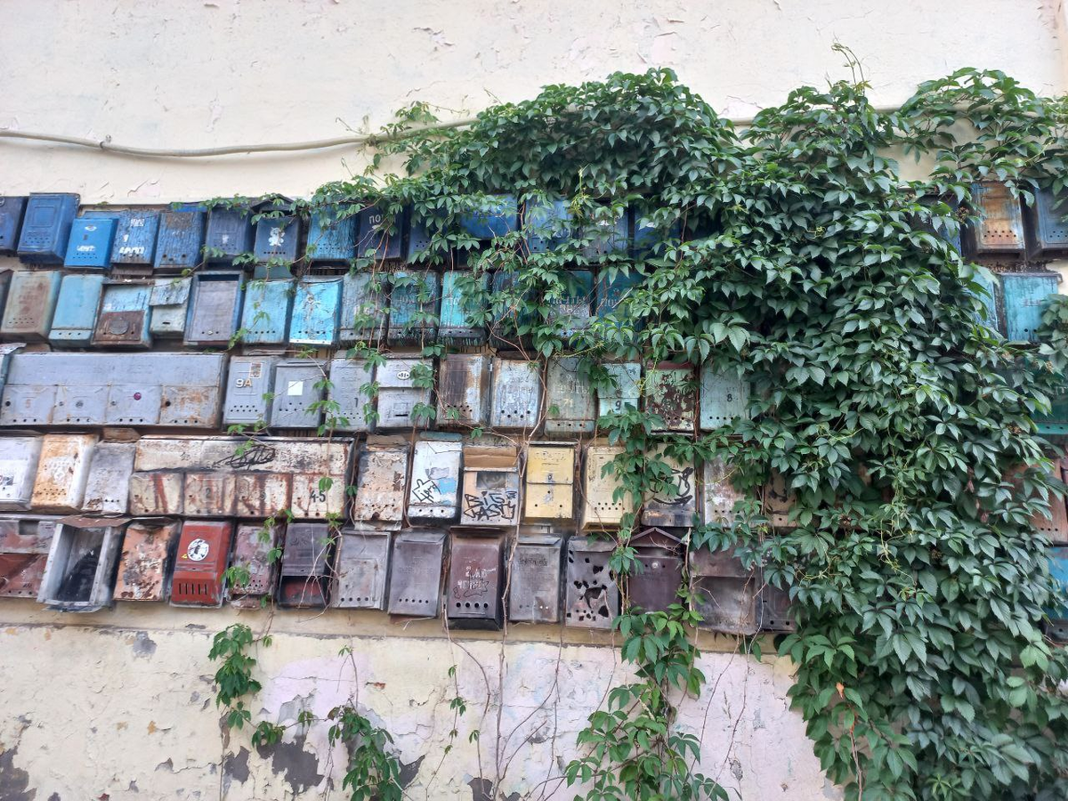 Фото автора.