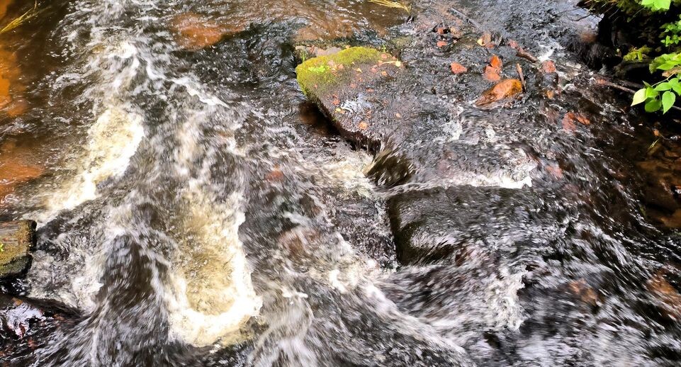    Maksim Konstantinov/Global Look Press / www.globallookpress.com