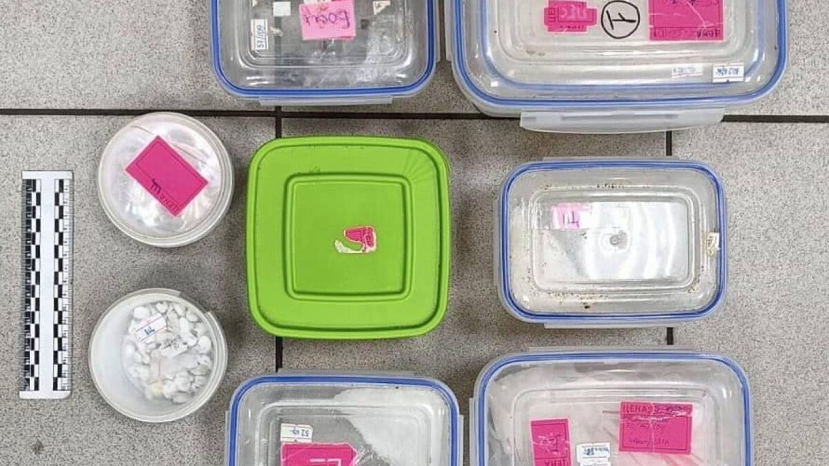    Фото: t.me/spb_walk