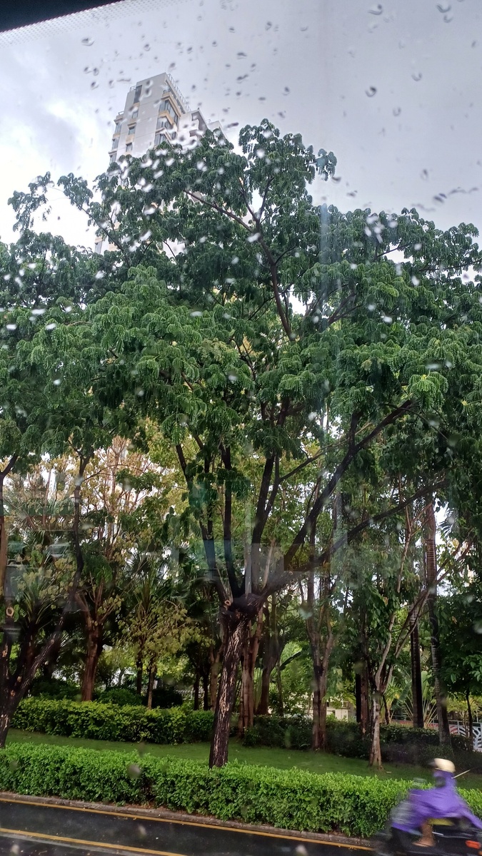 Улицы Саньи из окна автобуса.