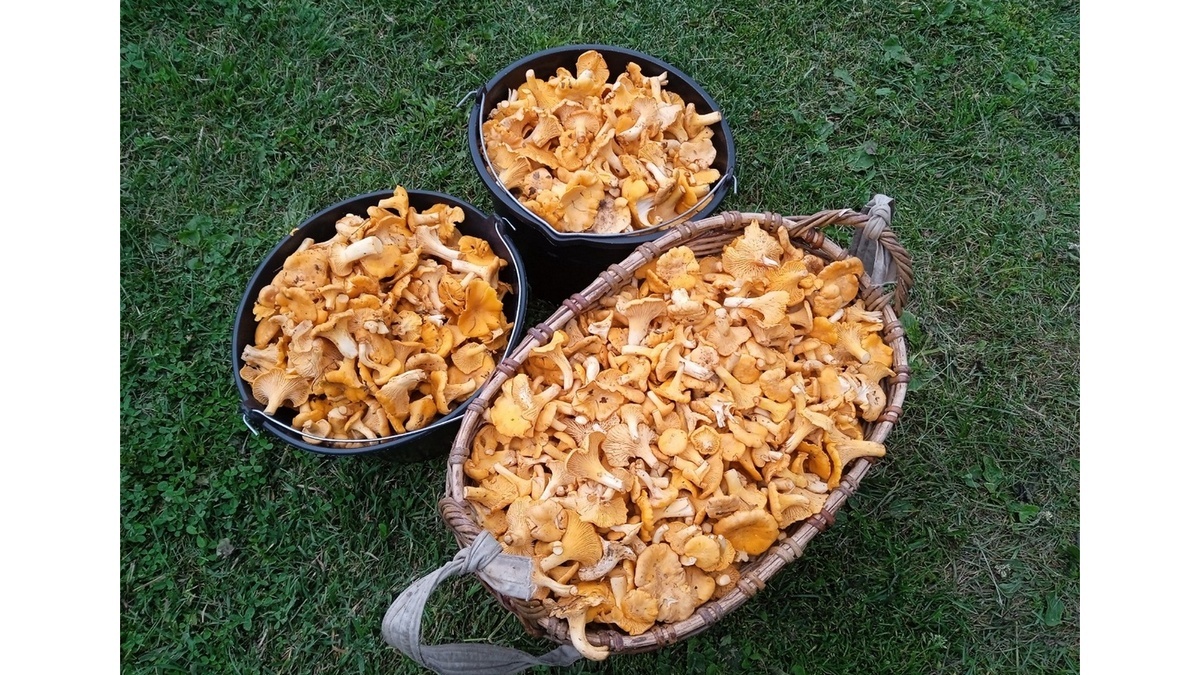 Фото Натальи из Ермиши