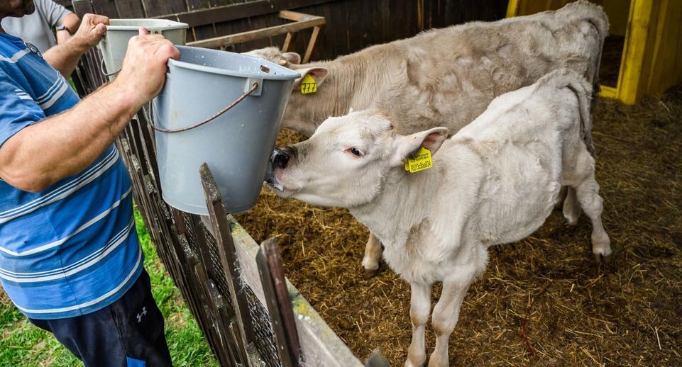    Пресс-служба Министерства сельского хозяйства и продовольствия Московской области