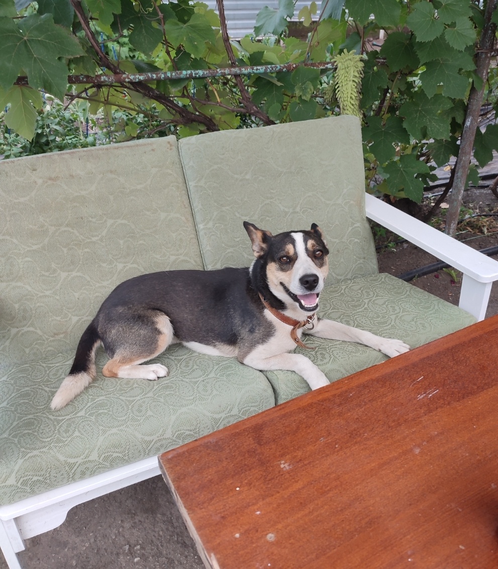 Прошлый год 