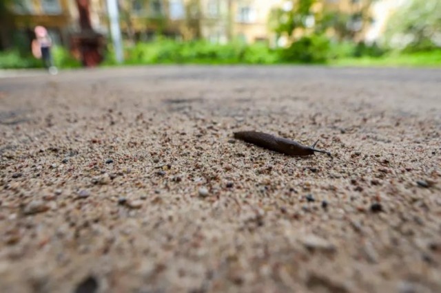   Фото: kantiana.ru