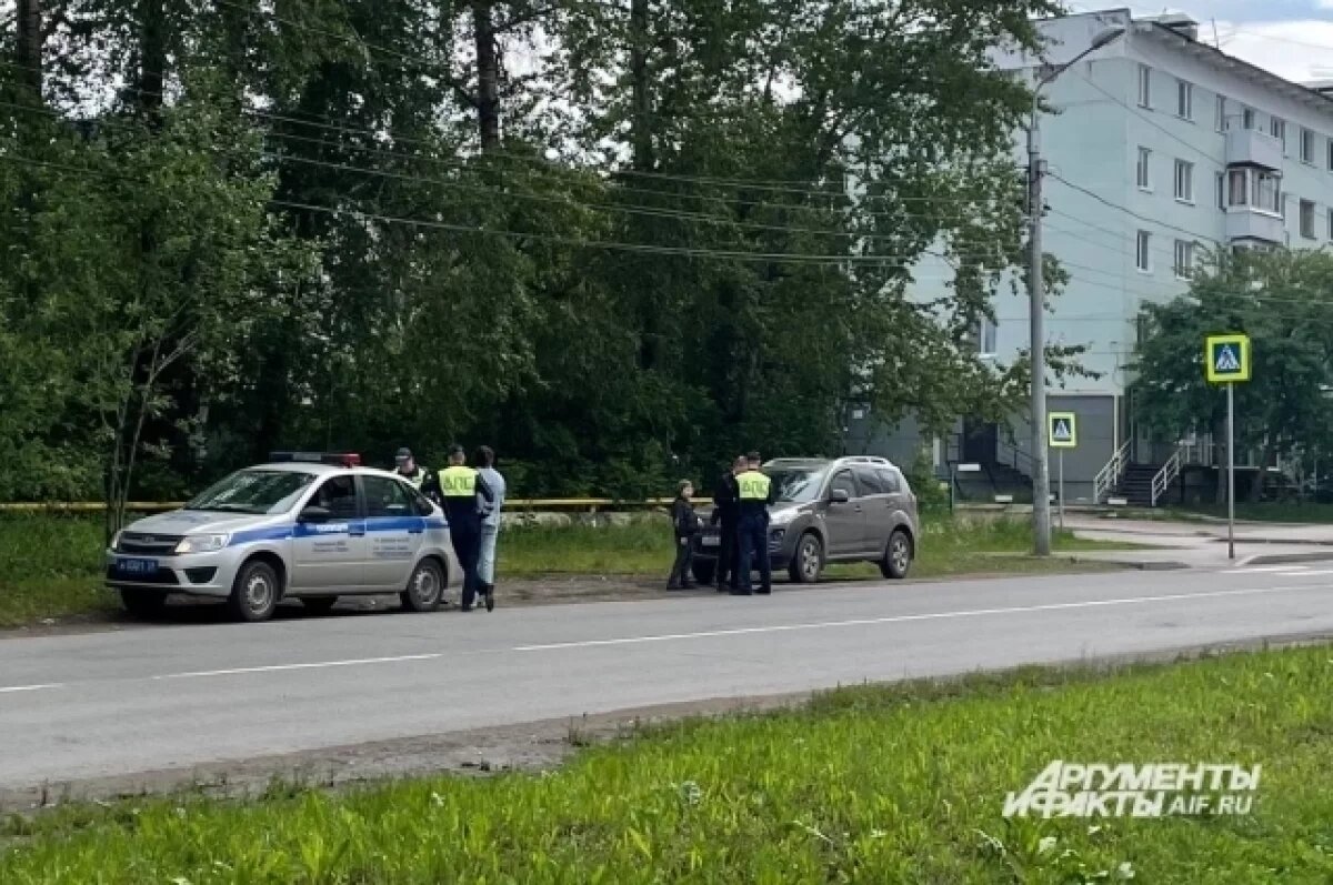    Новосибирский СК проверяет блогера, который пьяным оскорбил сотрудников ДПС