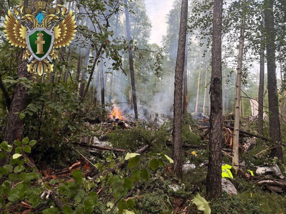    Место крушения Ан-24 в Амурской области . Источник: t.me/dvtproc