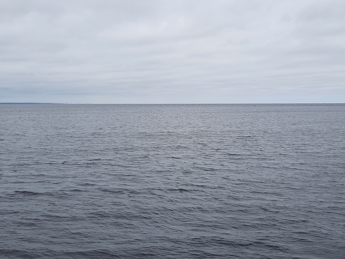 Белое море в Северодвинске