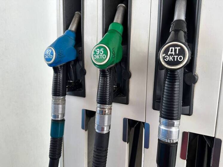     Цена бензина Аи-92 снизилась на 0,45%, достигнув 66,301 тысячи рублей за тонну. Цена летнего дизельного топлива также уменьшилась на 0,17%, составив 58,509 тысячи рублей за тонну. фото: архив мк в питере
