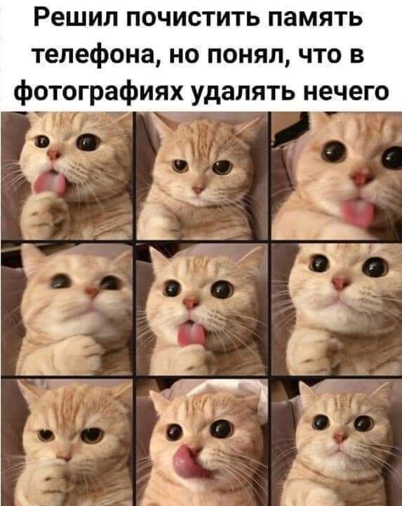 фото из интернета