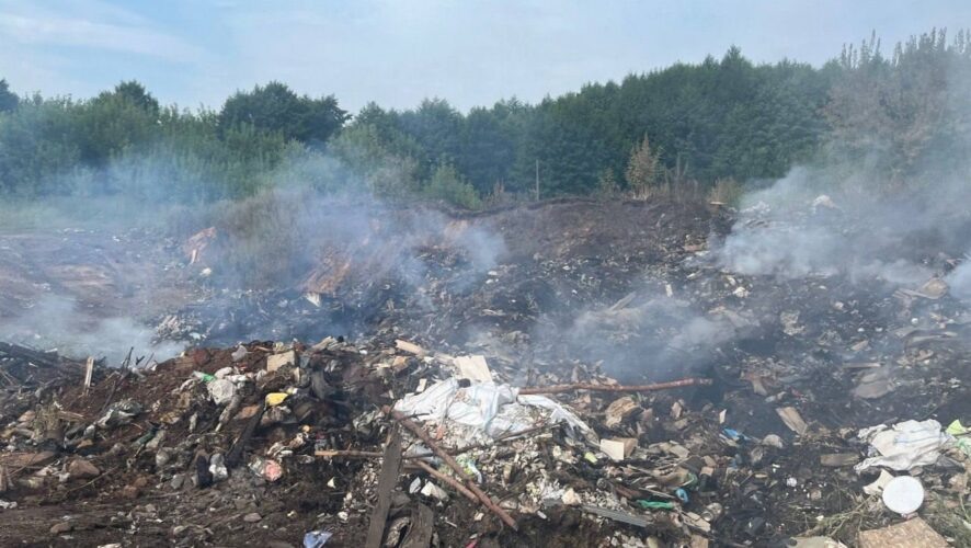    Фото: Минэкологии РТ