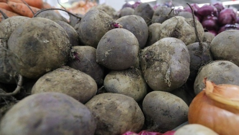      Фото: ИА «Победа26»