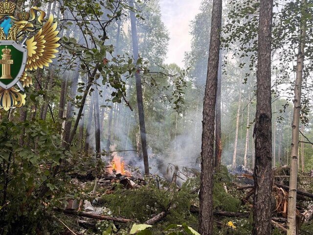    Фото: телеграм-канал "Дальневосточная транспортная прокуратура"
