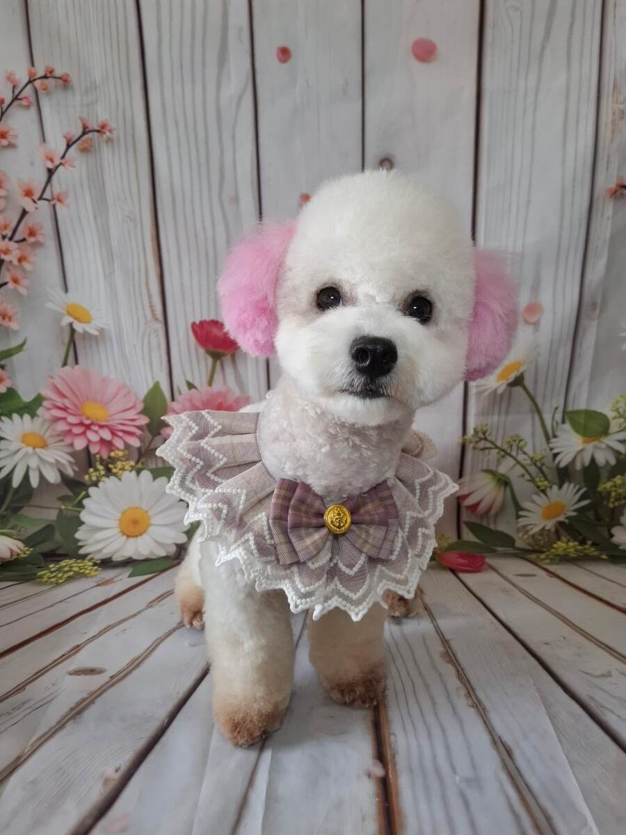 Ну красотуля? 