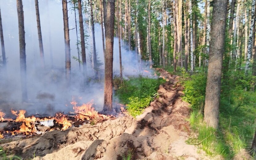    Огненная угроза: почему в Удмуртии вспыхивают лесные пожары и кто с ними борется