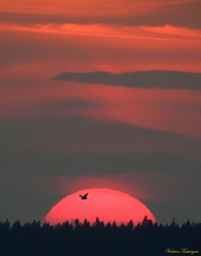    Завораживающими кадрами летних закатов и рассветов поделился житель ПетрозаводскаВартан Цатурян