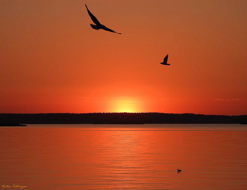    Завораживающими кадрами летних закатов и рассветов поделился житель ПетрозаводскаВартан Цатурян