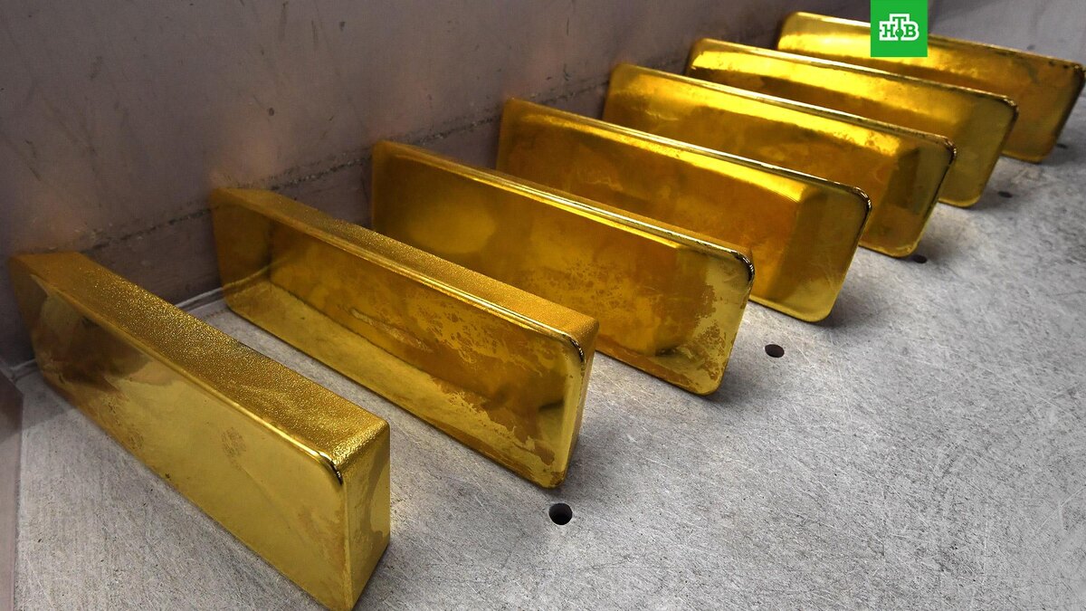    Фото: РИА Новости © 2025, Илья Наймушин