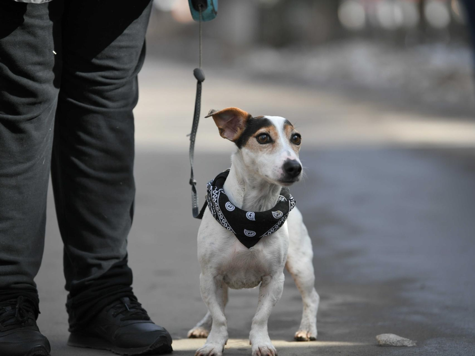    Фото: Министерство сельского хозяйства и продовольствия МО