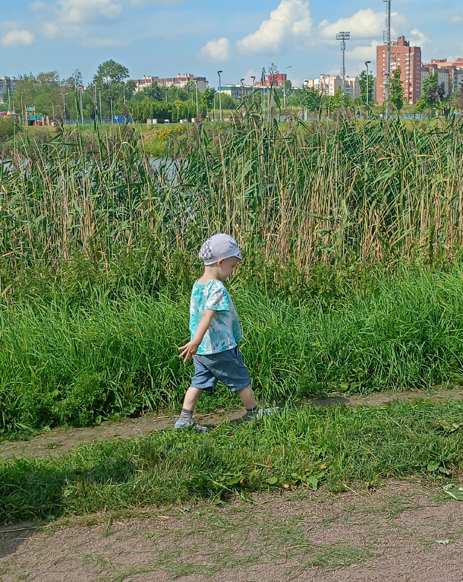 Фото мое. Шли, шли и пришли. За камышами озеро. 