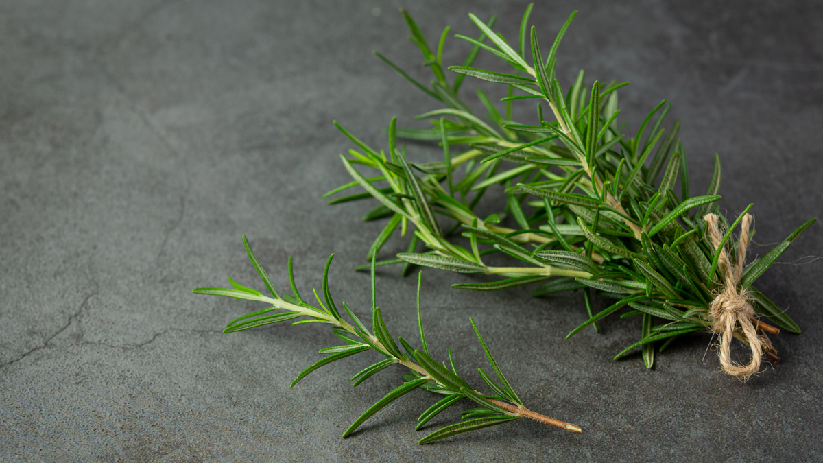 https://www.freepik.com/free-photo/rosemary-plants-place-dark-floor_11995775.htm#fromView=search&page=1&position=2&uuid=a12144ff-c0ab-46ae-a872-bf060ecd7221&query=rosemary