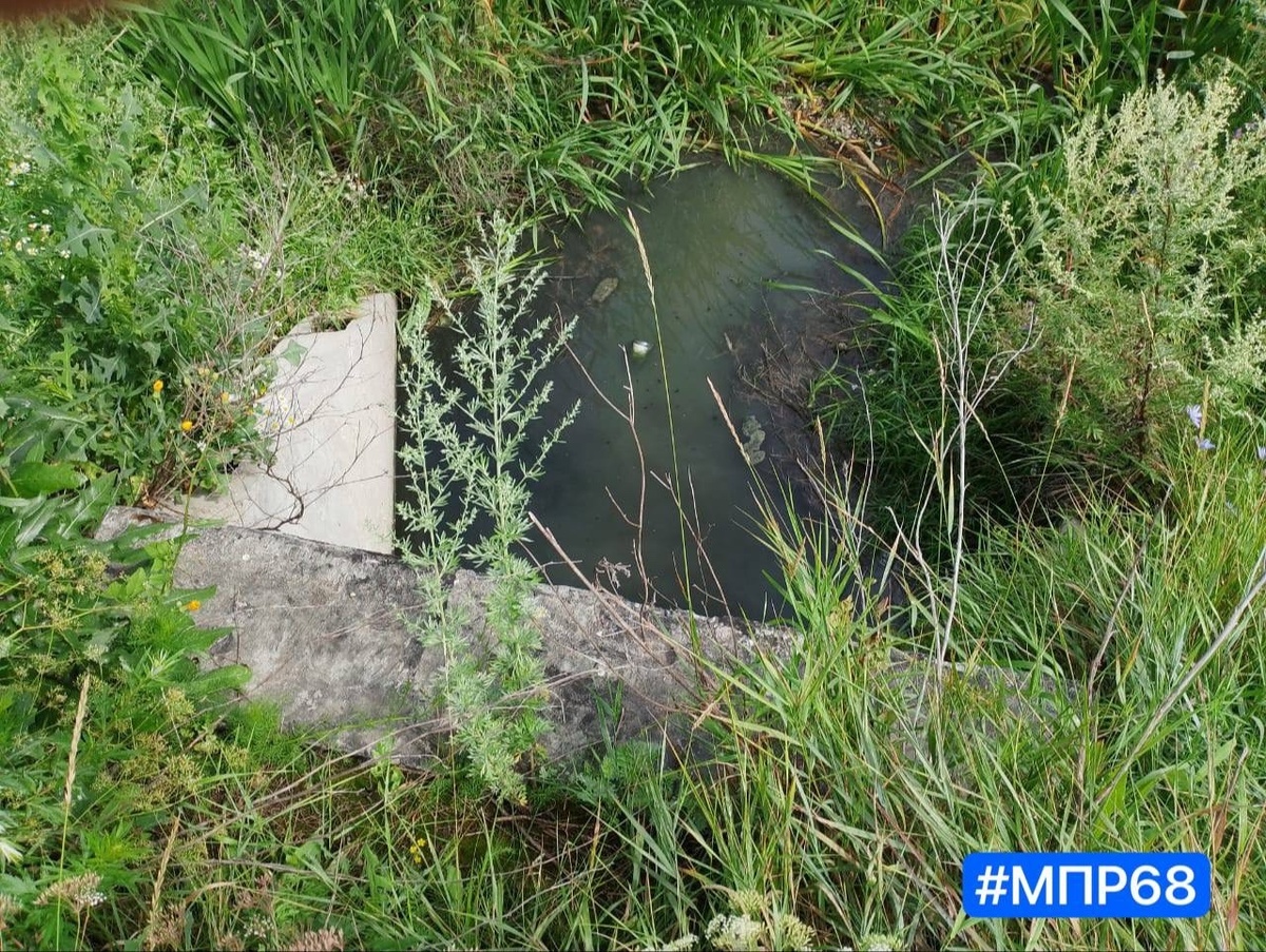 Ручей Ближний Колов впадает в Цну
